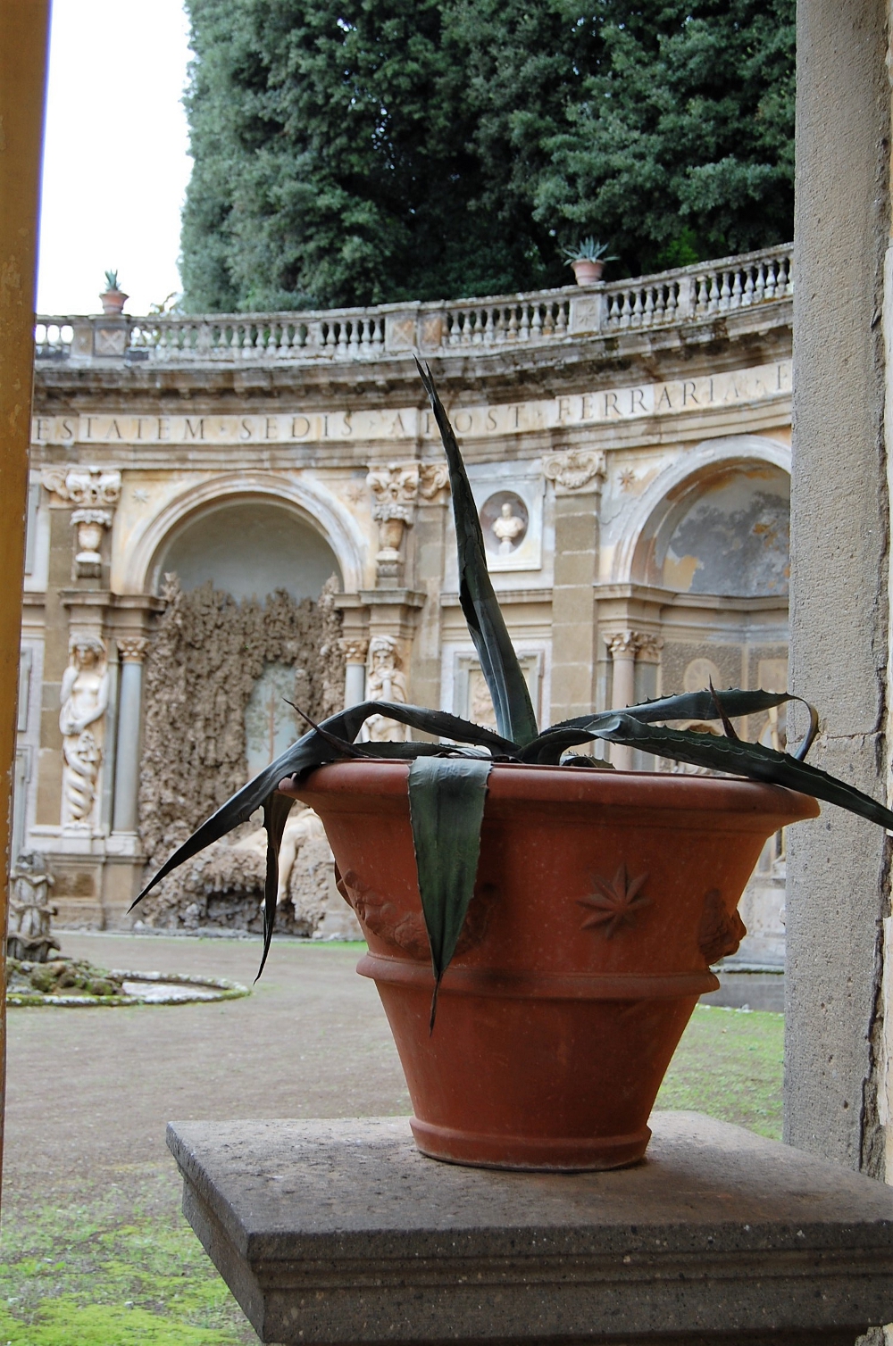 rocaille-blog-villa-aldobrandini-frascati-giardino (32)