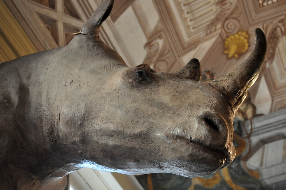 rocaille-blog-ethnologica-galleria-wunderkammer-andrea-filippi-forlì (22)