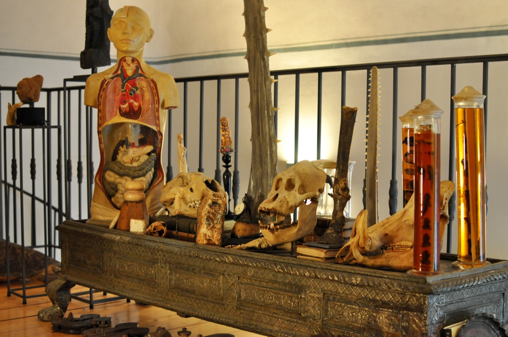 rocaille-blog-ethnologica-galleria-wunderkammer-andrea-filippi-forlì (37)