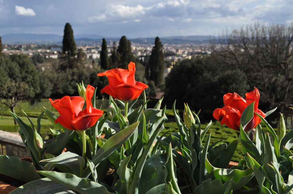 rocaille-blog-villa-la-petraia-firenze-toscana (12)