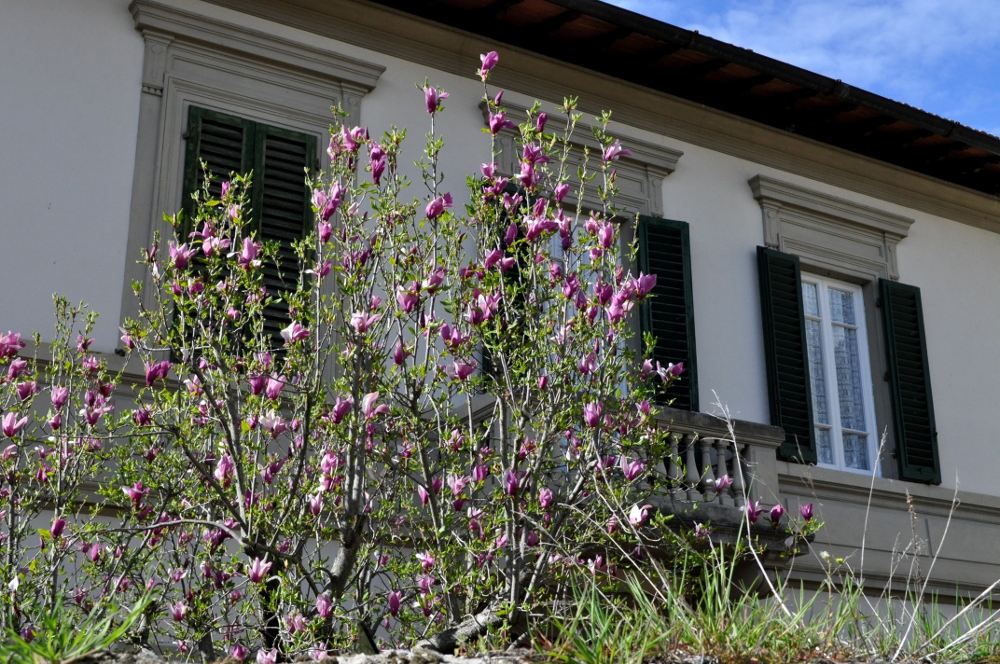 rocaille-blog-villa-la-petraia-firenze-toscana (2)