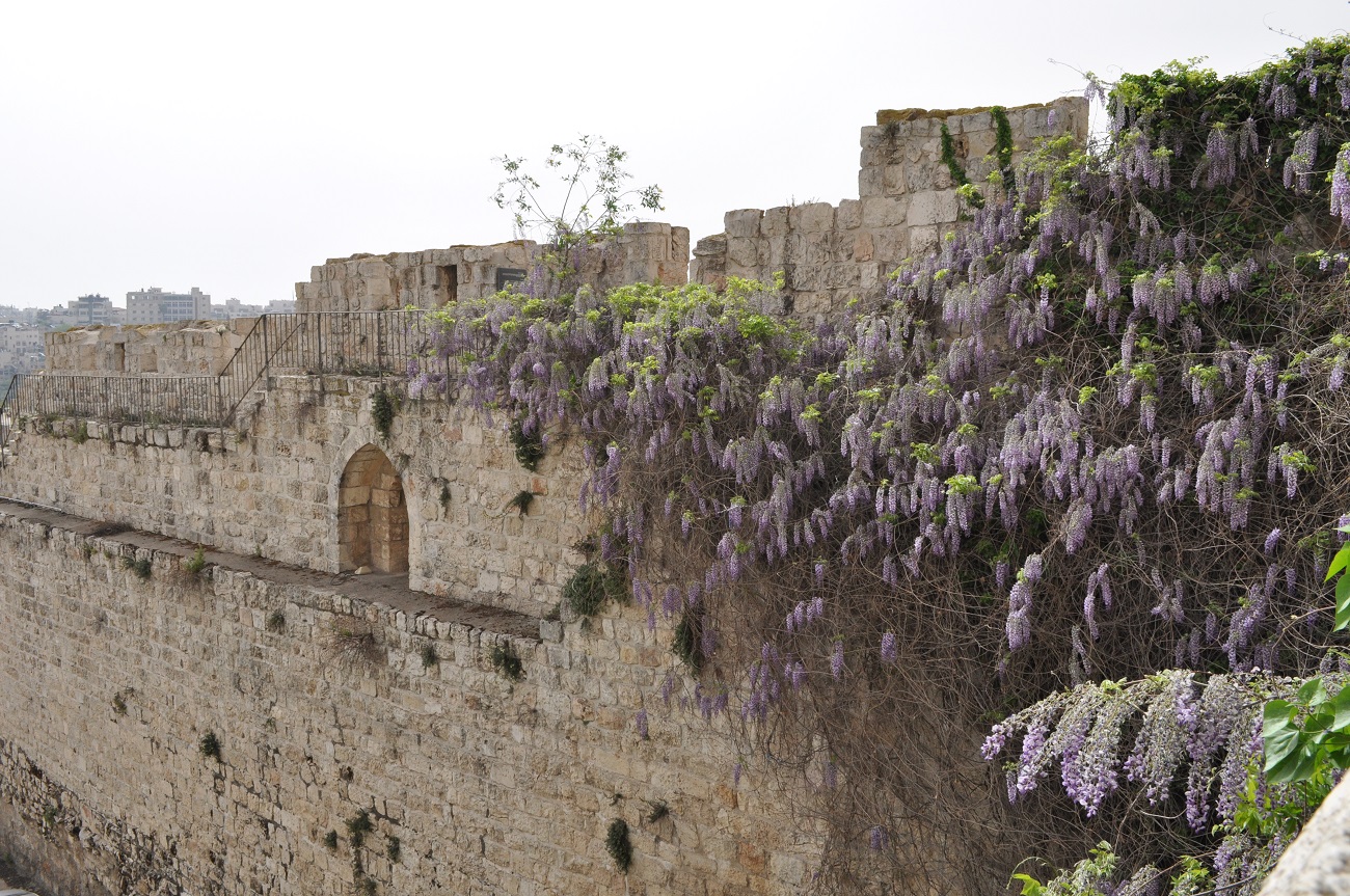 rocaille-blog-jerusalem-israel-holy-land-easter-1