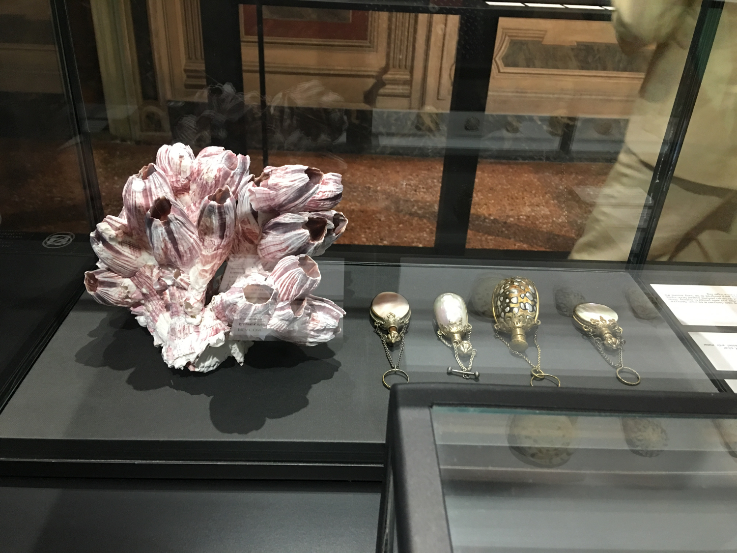 rocaille-blog-venezia-palazzo-mocenigo-cabinet-of-curiosities-collezione-storp-profumo-23