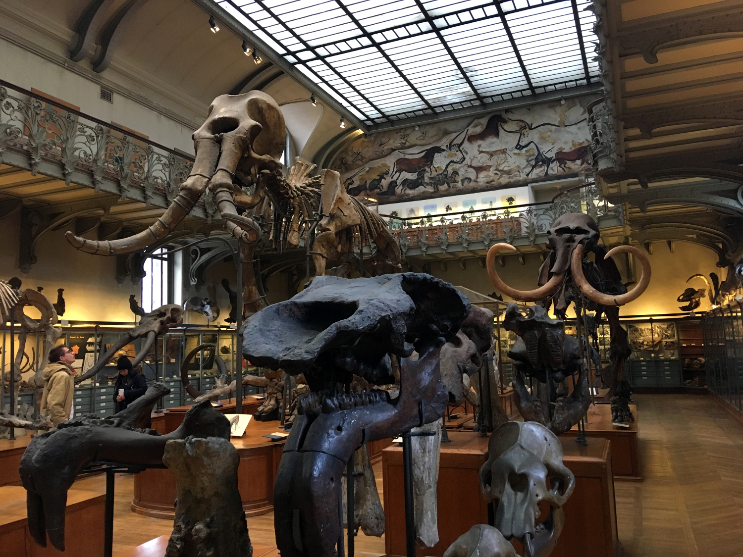 rocaille-blog-paris-museum-national-dhistoire-naturelle-16