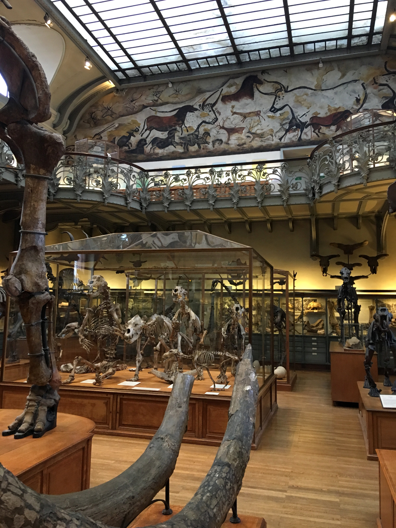 rocaille-blog-paris-museum-national-dhistoire-naturelle-17