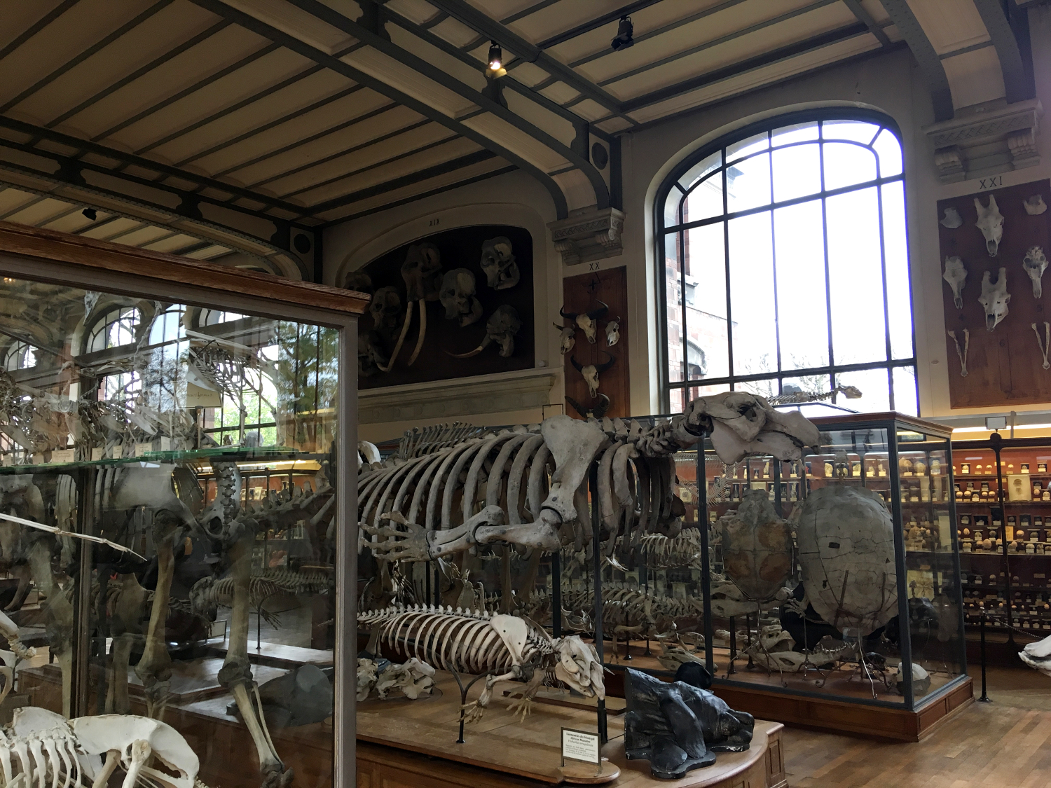 rocaille-blog-paris-museum-national-dhistoire-naturelle-6