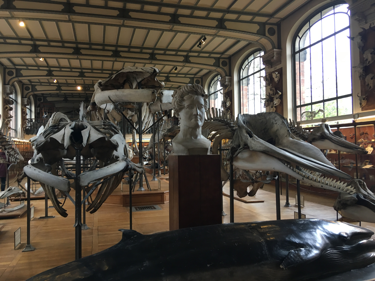 rocaille-blog-paris-museum-national-dhistoire-naturelle-8