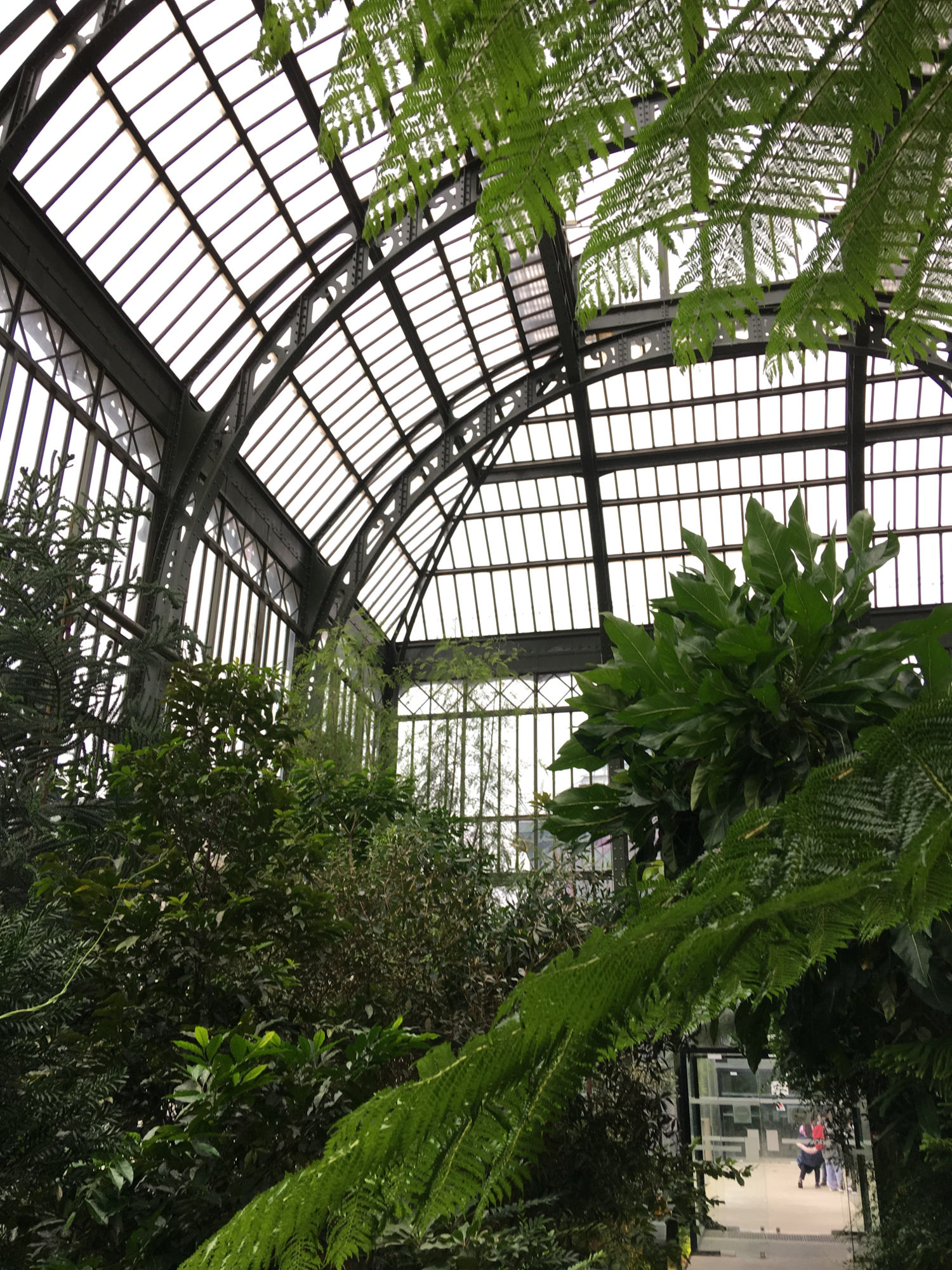 rocaille-blog-paris-jardin-des-plantes-14