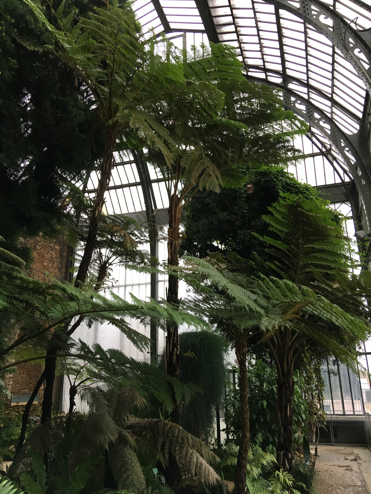 rocaille-blog-paris-jardin-des-plantes-18