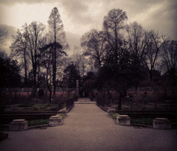 rocaille-orto-botanico-padova