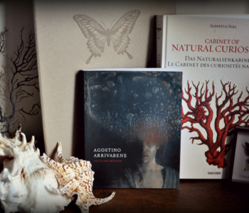 rocaille-agostino-arrivabene-libri-conchiglie