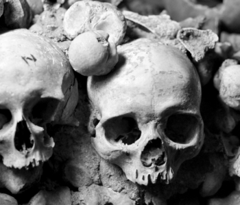 rocaille-catacombes-ossuary-paris