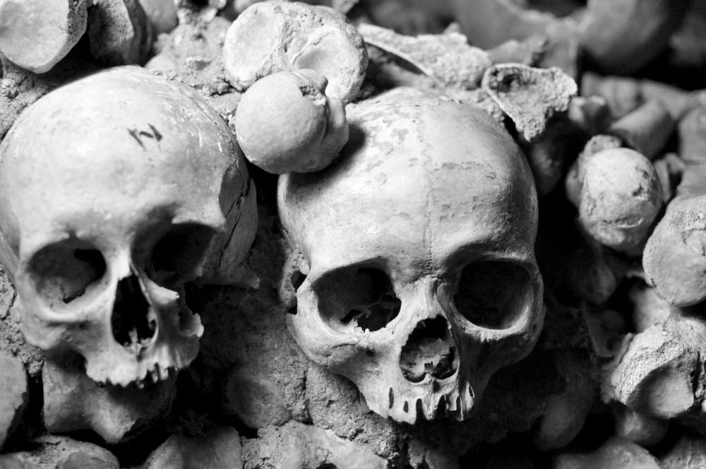 rocaille-catacombes-ossuary-paris