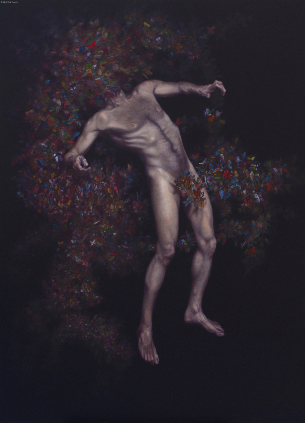rocaille-Psychophagòmenos-david-dalla-venezia