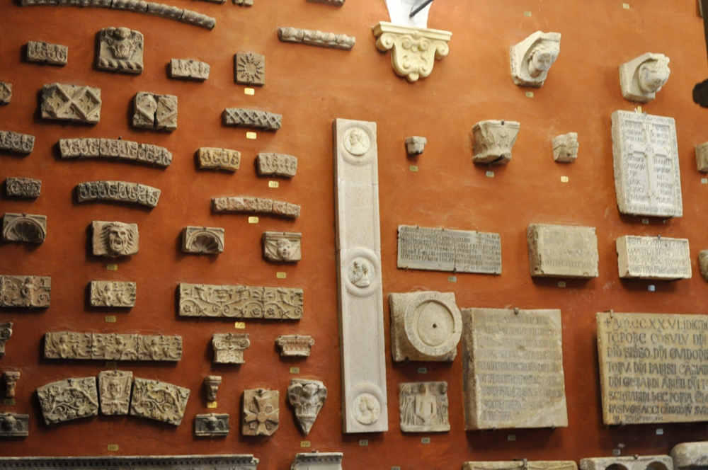 rocaille-blog-reggio-emilia-museo-lazzaro-spallanzani (65)