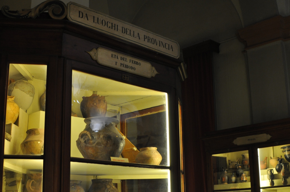 rocaille-blog-reggio-emilia-museo-lazzaro-spallanzani (68)