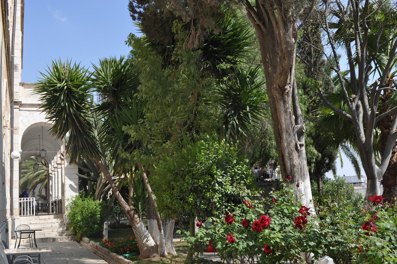 rocaille-blog-jerusalem-israel-holy-land-easter-austrian-hospice-rooftop-49