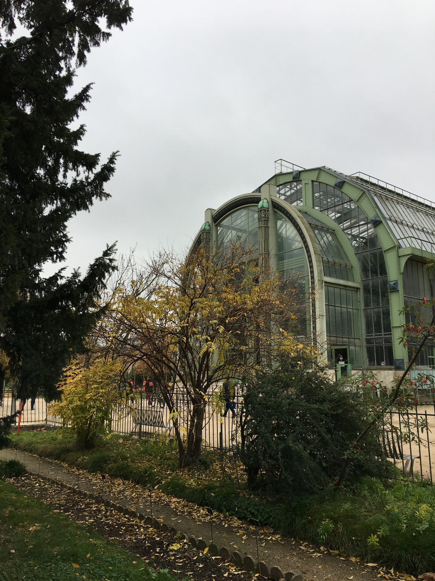 rocaille-blog-paris-jardin-des-plantes-1