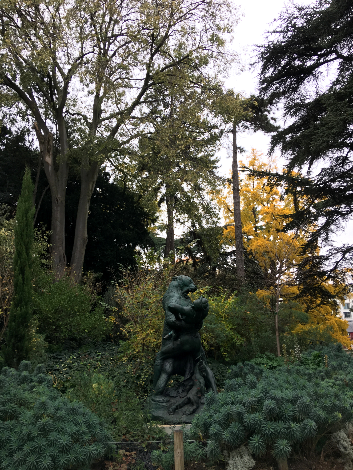 rocaille-blog-paris-jardin-des-plantes-15