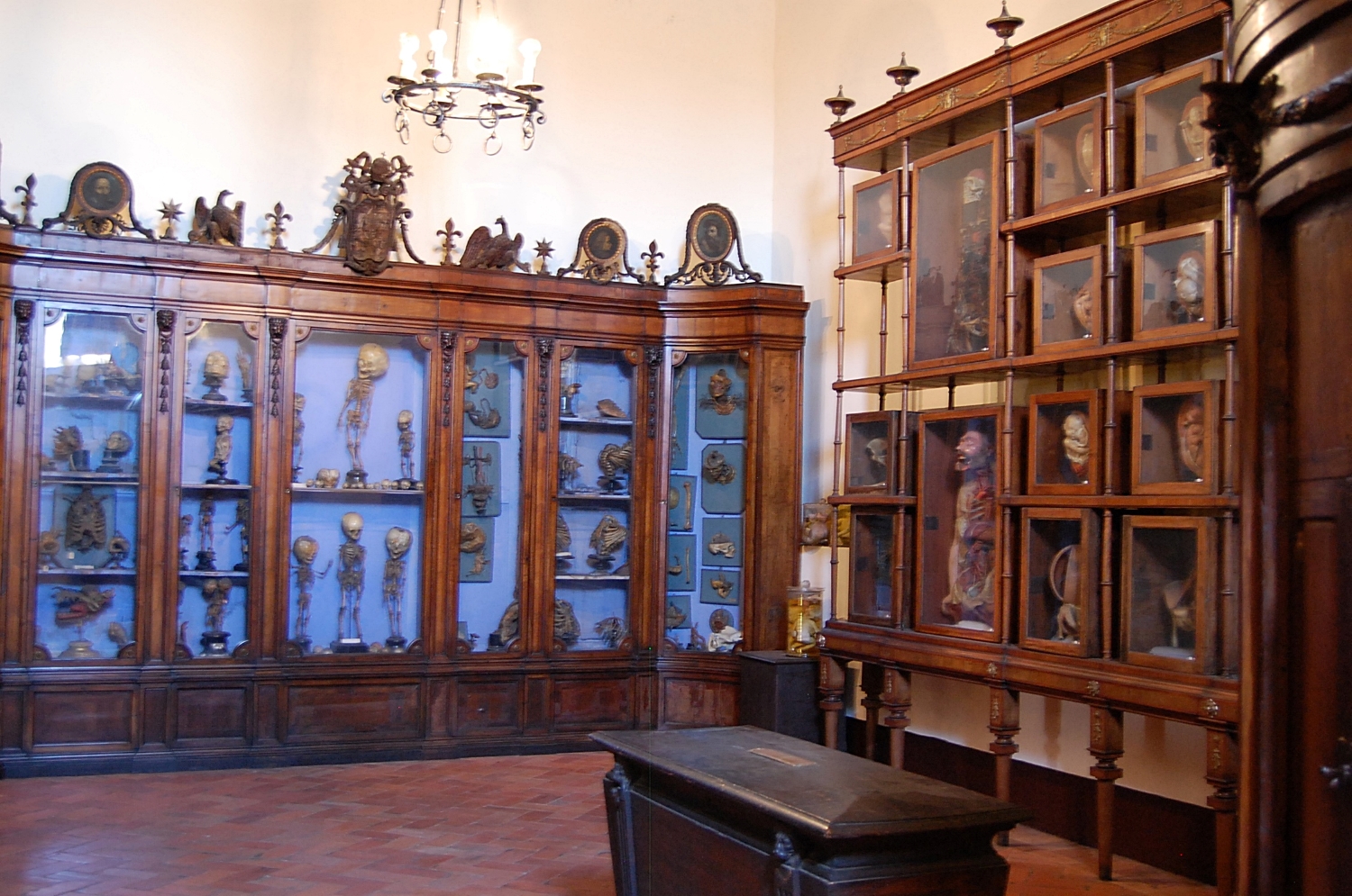 Museo storico nazionale dell'arte sanitaria, Roma